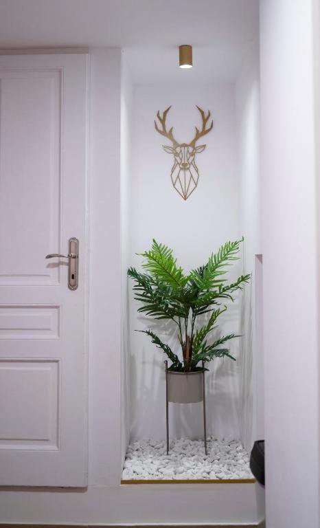 Coban Apartment
